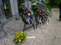 IMGP0033