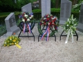 IMGP0034