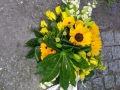 IMGP0139a