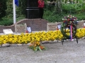 IMGP0151