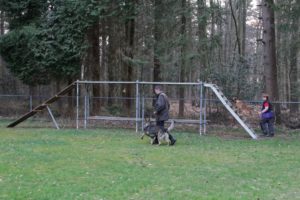 Politiehondenvereniging De Trouwe Vriend 2018